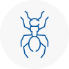 Ant Removals In Ayr