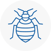 Bed Bug Extermination In Ayr