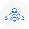 Bee Nest Removal Ayr