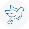 Bird Prevention Ayr