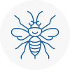 Ayr Hornet Nest Removals