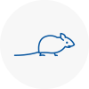 Mice Exterminators In Ayr