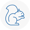 Ayr Rodent Removals